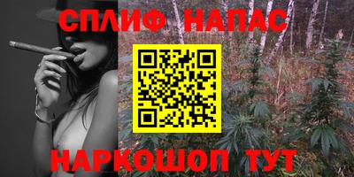 меф Краснознаменск