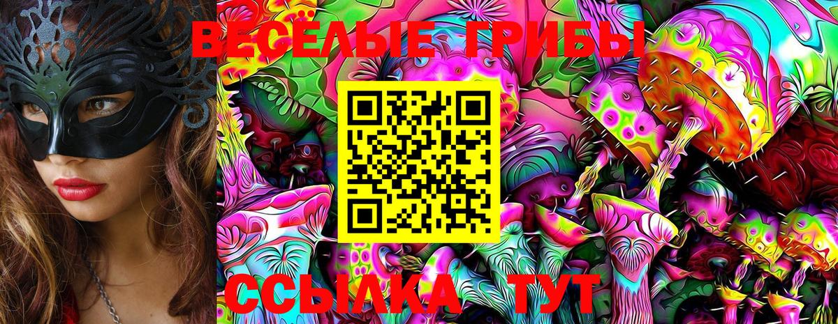 Псилоцибиновые грибы Magic Shrooms  Междуреченск 