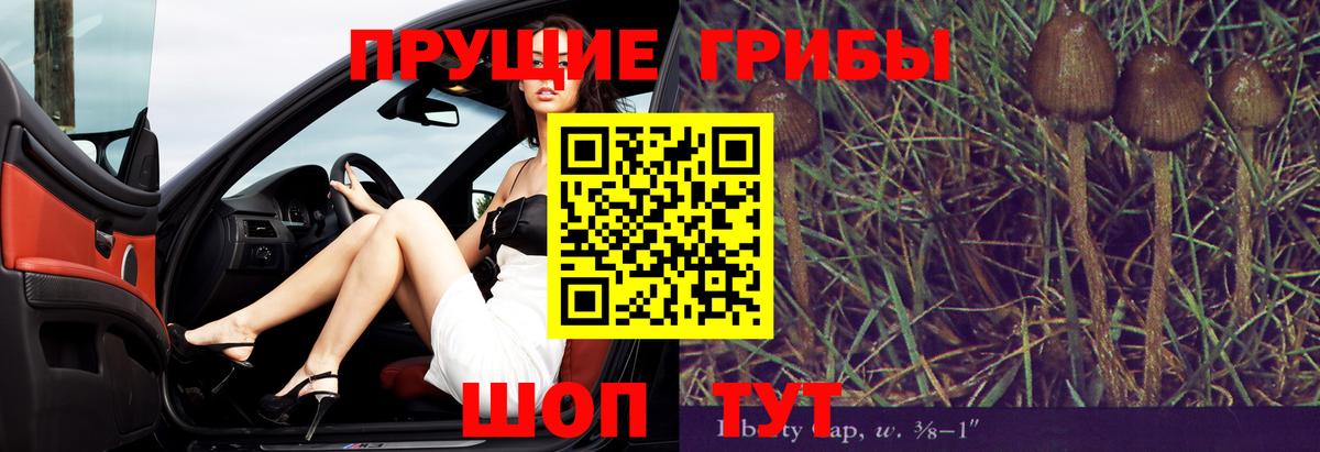 Галлюциногенные грибы прущие грибы  закладки  Междуреченск  Вход с VPN  Галлюциногенные грибы Psilocybine cubensis 