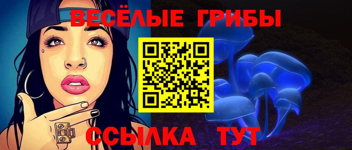 Псилоцибиновые грибы Psilocybe Междуреченск